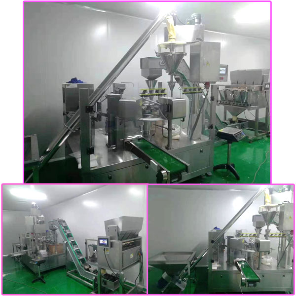 給袋式椒鹽粉包裝加工機械-自動化椒鹽粉生產包裝線設備